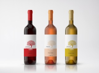 Bottles of Forest Vallée wine