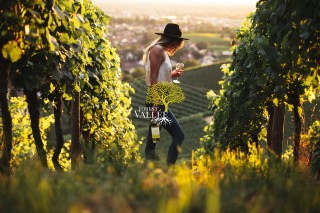 A woman in a vineyard